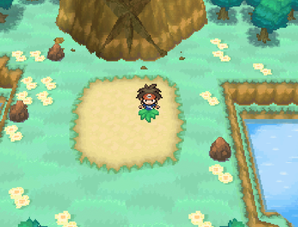 Pokemon Black 2: Silly Edition Pokemon Black 2: Silly Edition