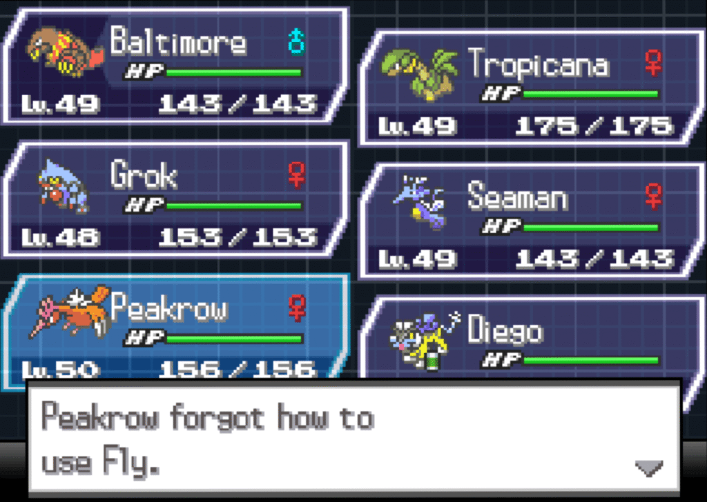 Pokemon Black 2: Silly Edition Pokemon Black 2: Silly Edition